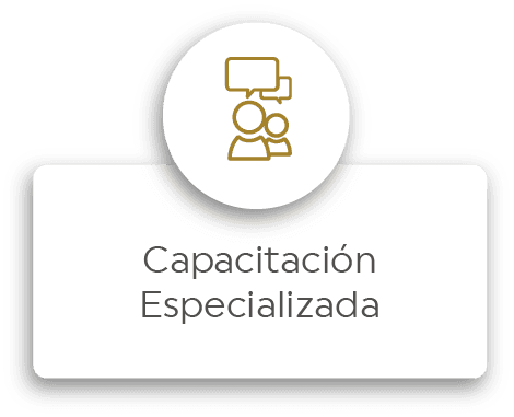 Capacitación Especializada